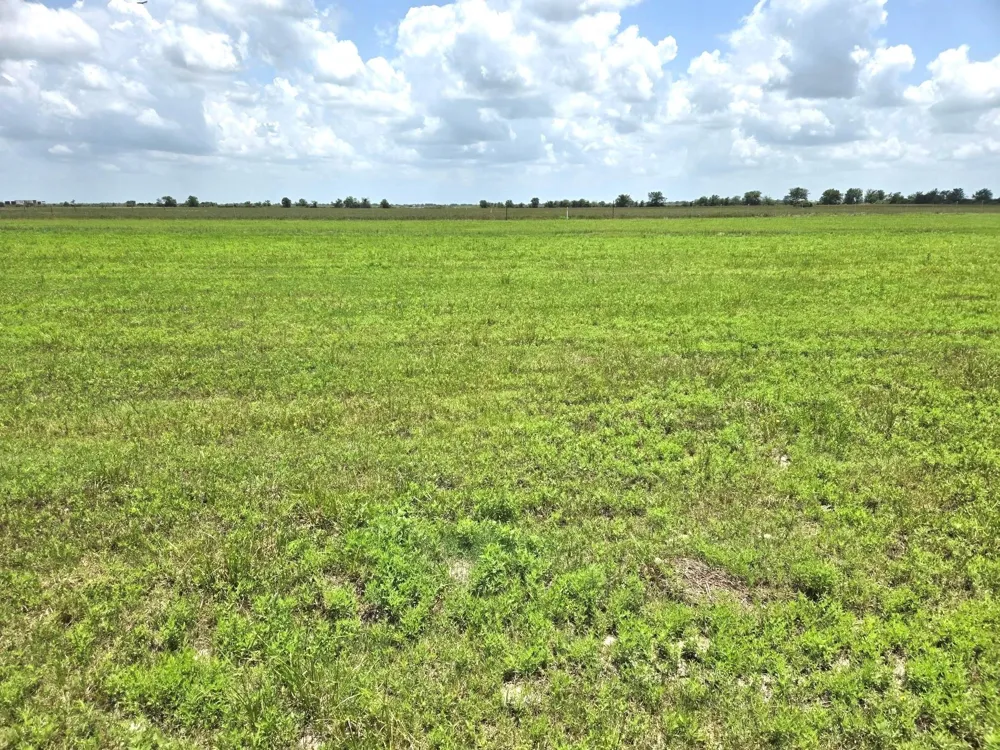 1046 Beal Road Eagle Lake, TX 77434