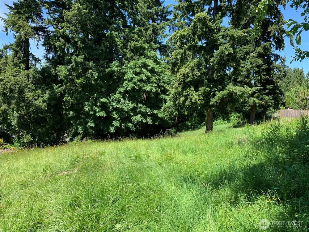 9805 31st Street E Edgewood, WA 98371