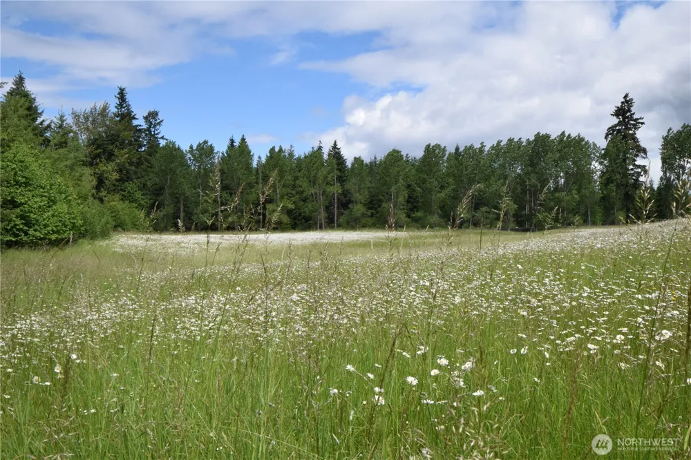 2717 354th Street Ct S Roy, WA 98580