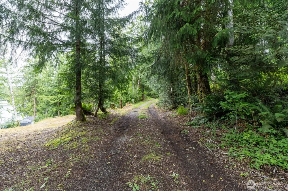 460 W Arrowhead Drive Elma, WA 98541