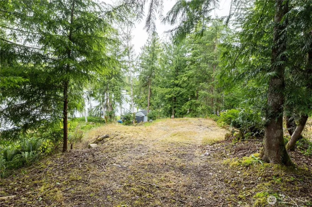 460 W Arrowhead Drive Elma, WA 98541