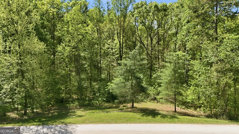 LOT 3 Fenwick Wood RD Clarkesville, GA 30523