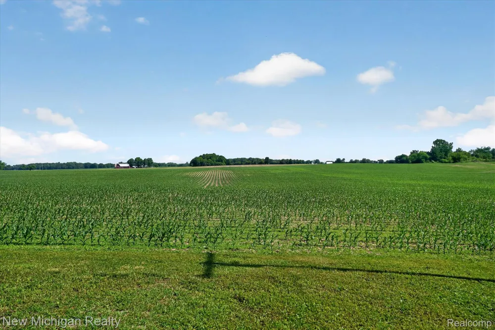 11374 Lahring Road Argentine Township, MI 48418