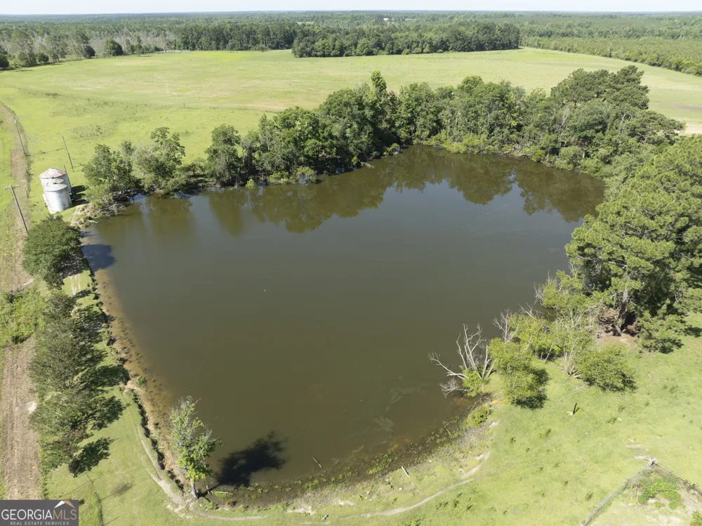 3349 Scotland RD Alamo, GA 30411