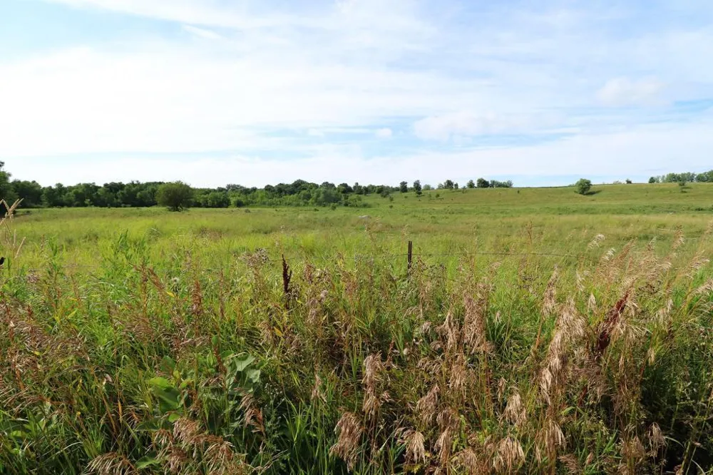 5xx West Ridge Road Courtland, MN 56021