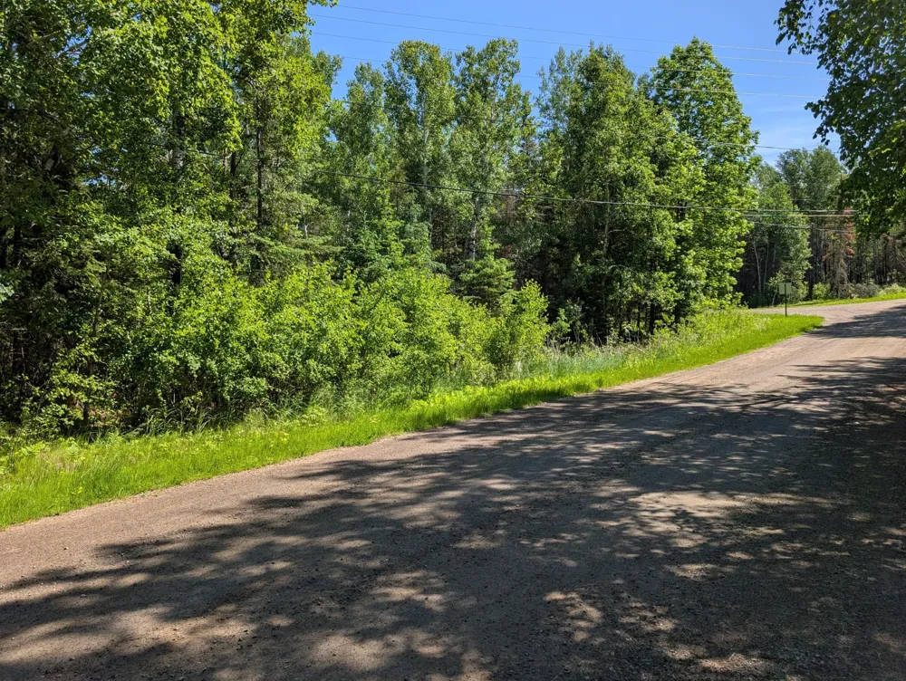 TBD Town Road 492 International Falls, MN 56649