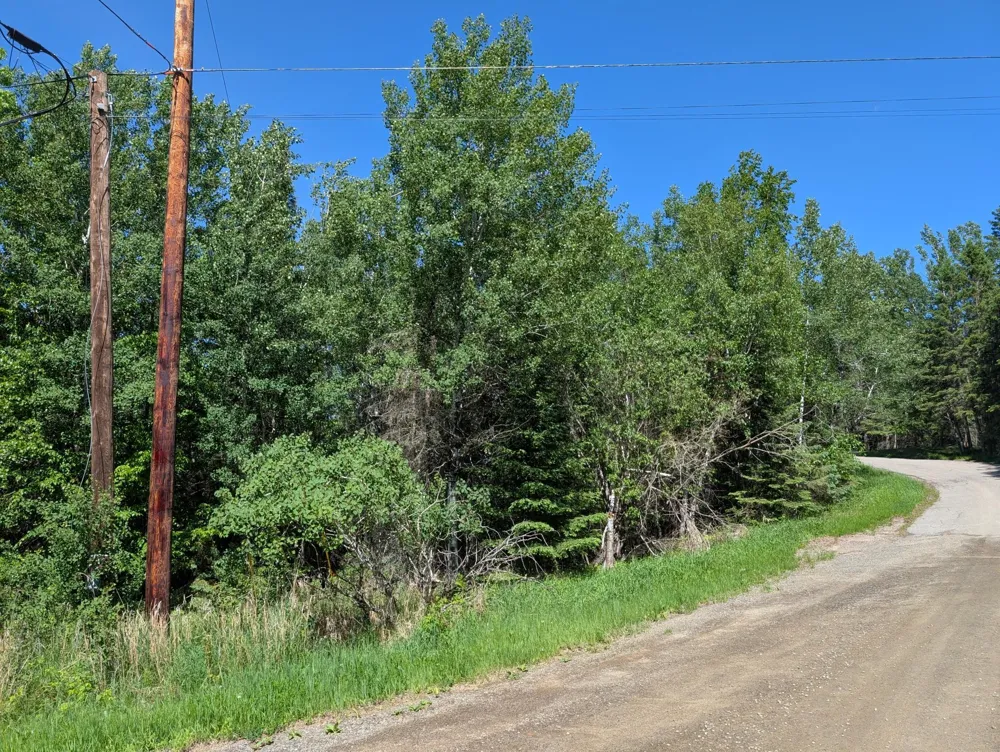 TBD Town Road 492 International Falls, MN 56649