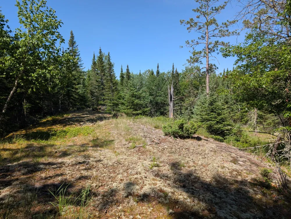 TBD Town Road 492 International Falls, MN 56649