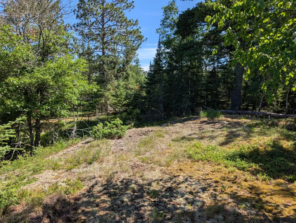 TBD Town Road 492 International Falls, MN 56649