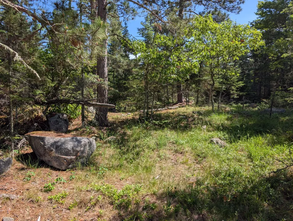 TBD Town Road 492 International Falls, MN 56649