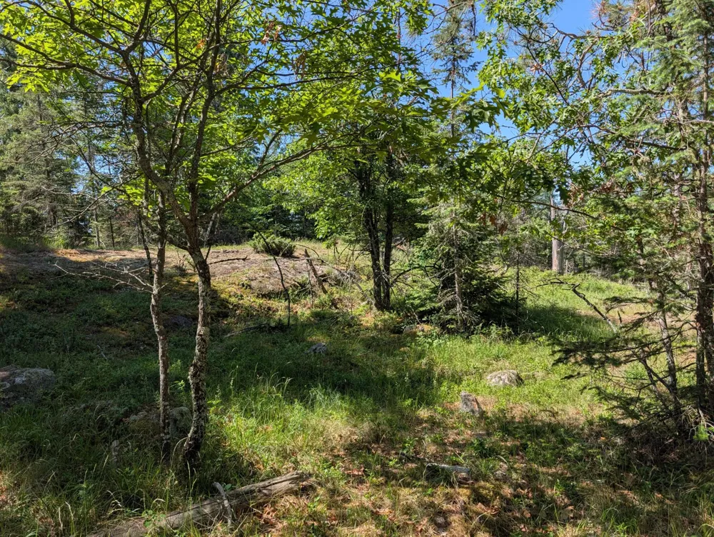 TBD Town Road 492 International Falls, MN 56649
