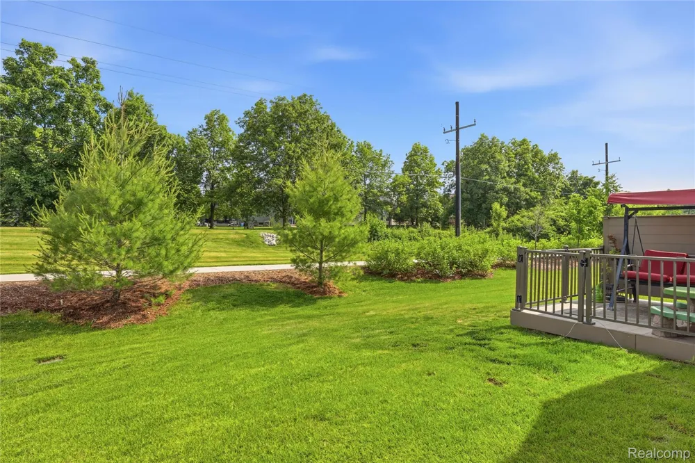 2401 Salt Springs Drive Saline Township, MI 48176