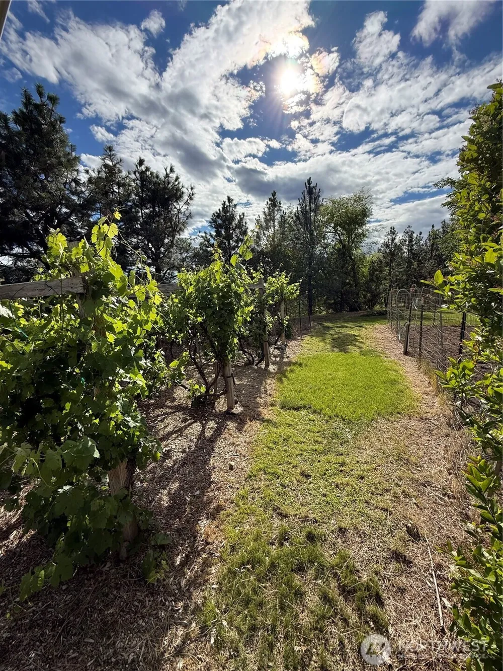 24 Valley View Drive Omak, WA 98841