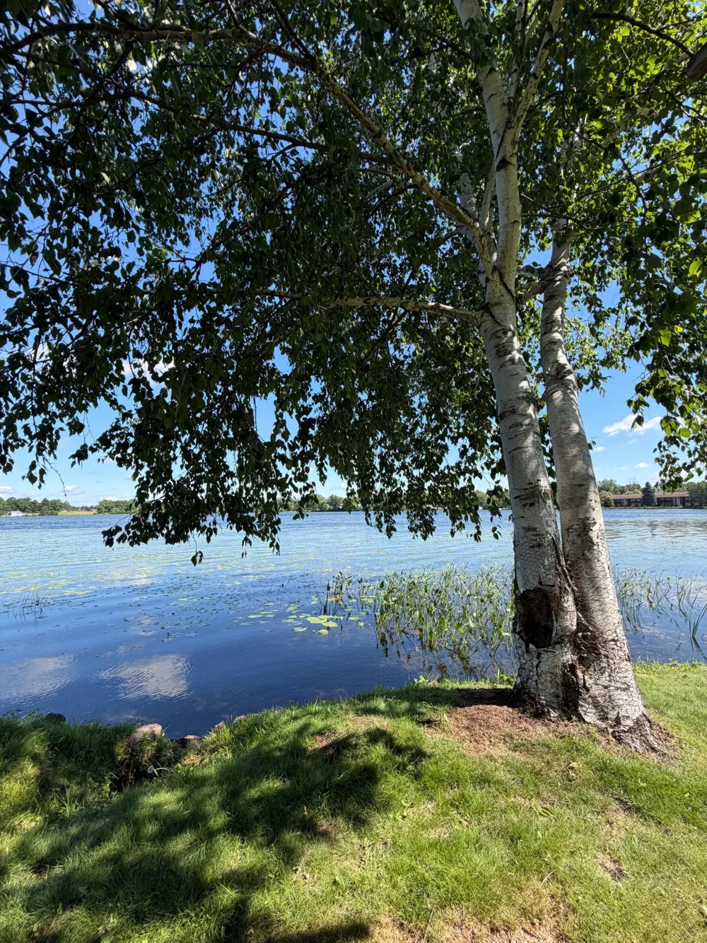 332 South Street W Amery, WI 54001
