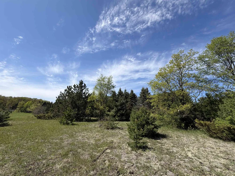 13158 Cinder Road Homestead Township, MI 49617