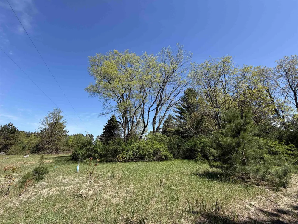 13158 Cinder Road Homestead Township, MI 49617