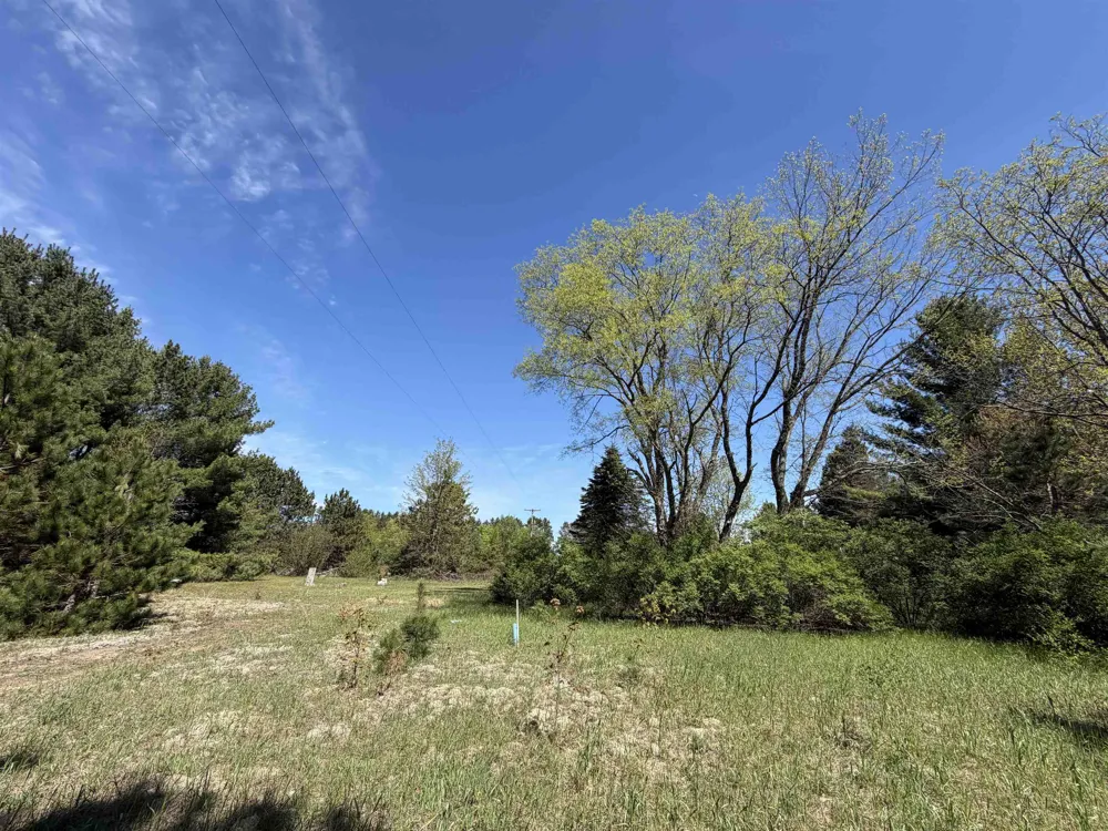 13158 Cinder Road Homestead Township, MI 49617