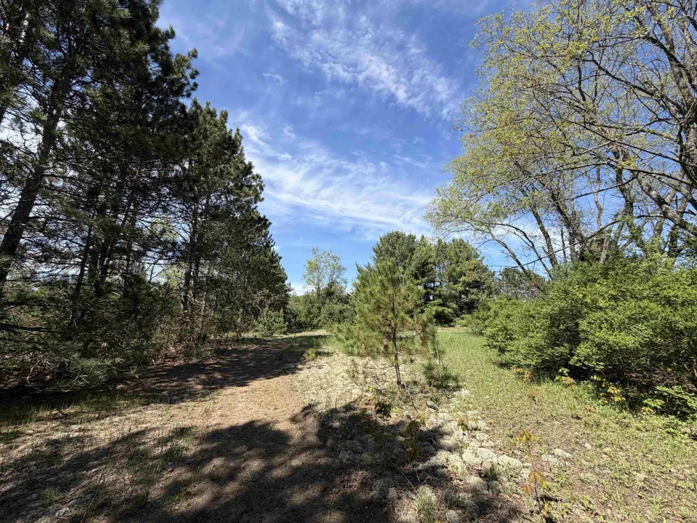 13158 Cinder Road Homestead Township, MI 49617