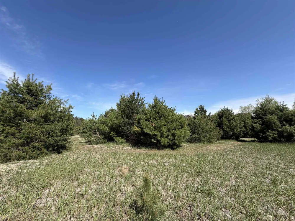 13158 Cinder Road Homestead Township, MI 49617