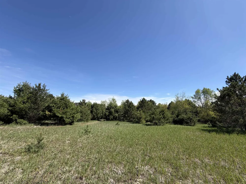 13158 Cinder Road Homestead Township, MI 49617