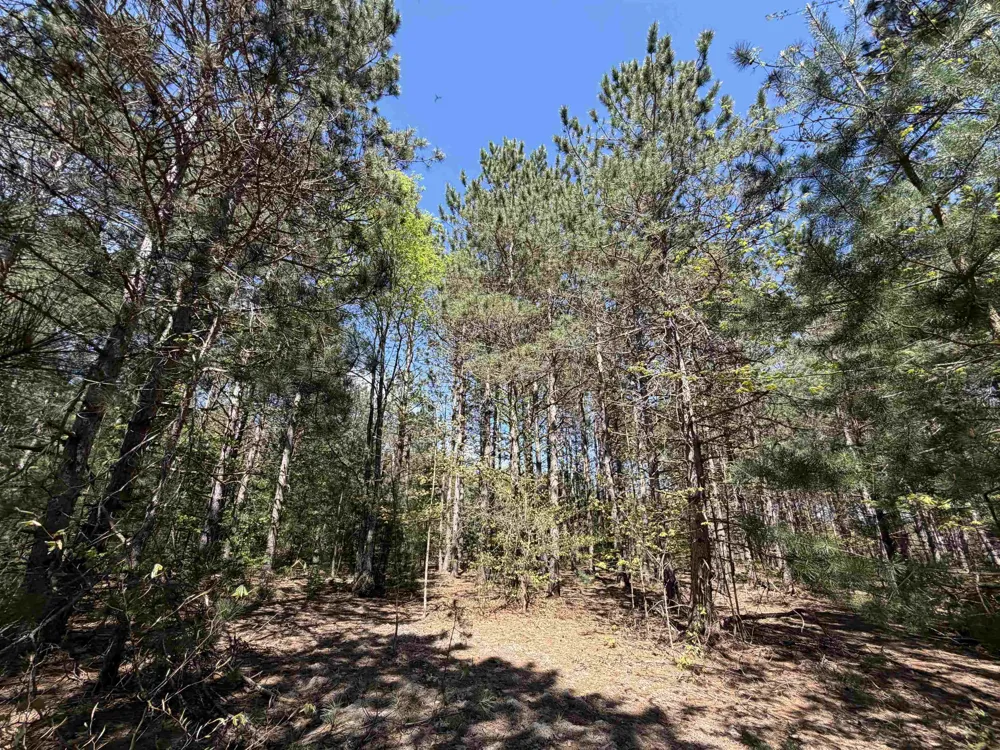 13158 Cinder Road Homestead Township, MI 49617