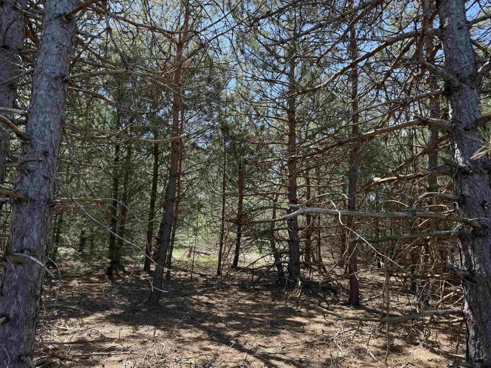 13158 Cinder Road Homestead Township, MI 49617