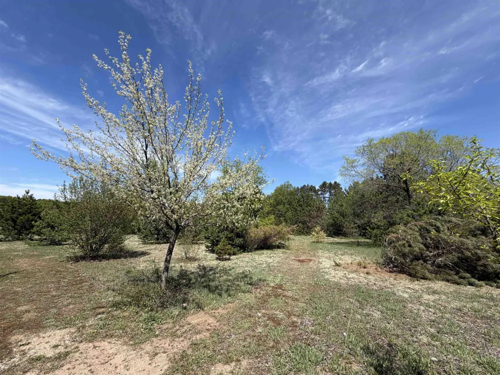 13158 Cinder Road Homestead Township, MI 49617