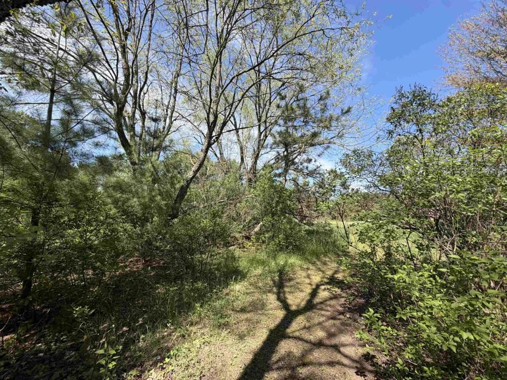 13158 Cinder Road Homestead Township, MI 49617