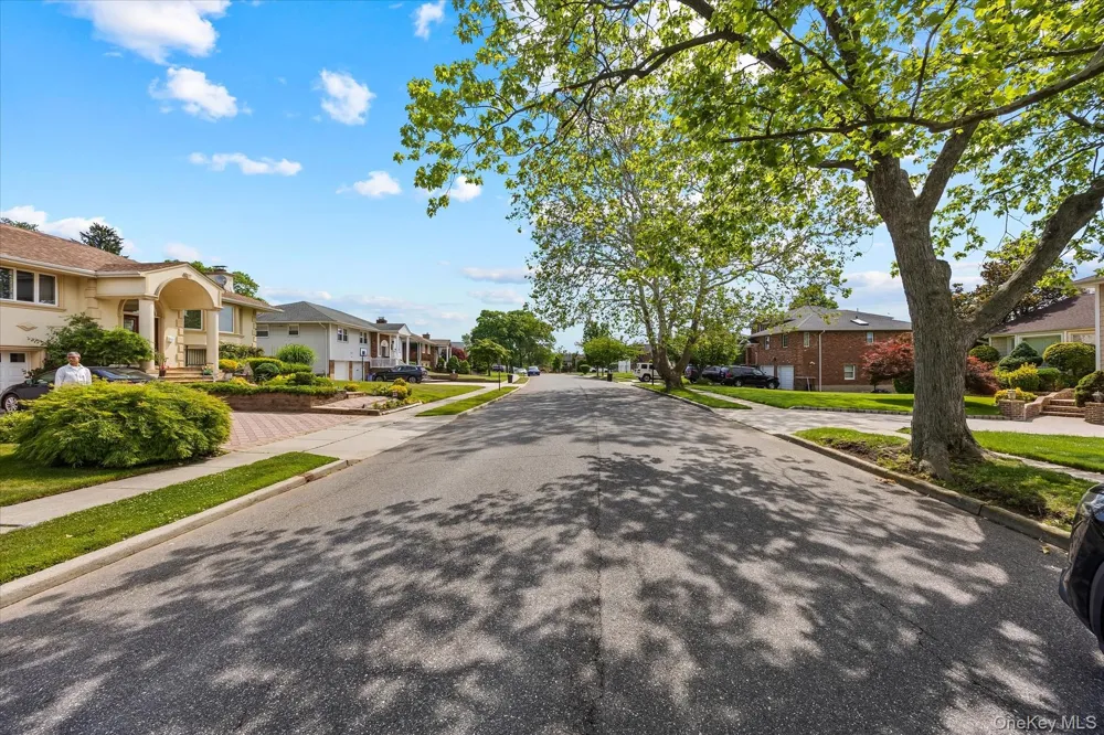 228 Robby Lane Manhasset Hills, NY 11040