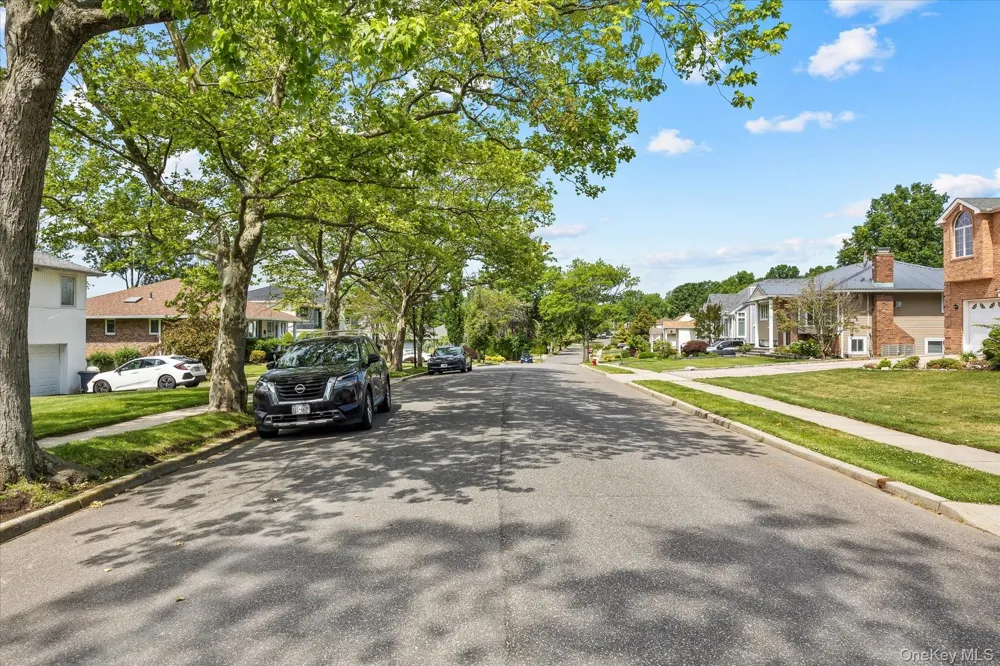 228 Robby Lane Manhasset Hills, NY 11040