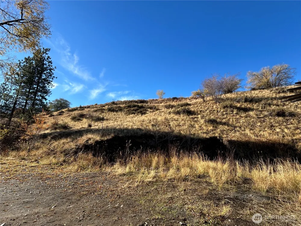136 Johnson Street Twisp, WA 98856