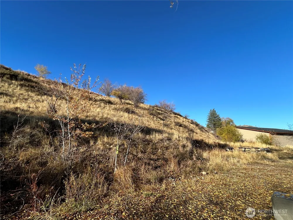 136 Johnson Street Twisp, WA 98856
