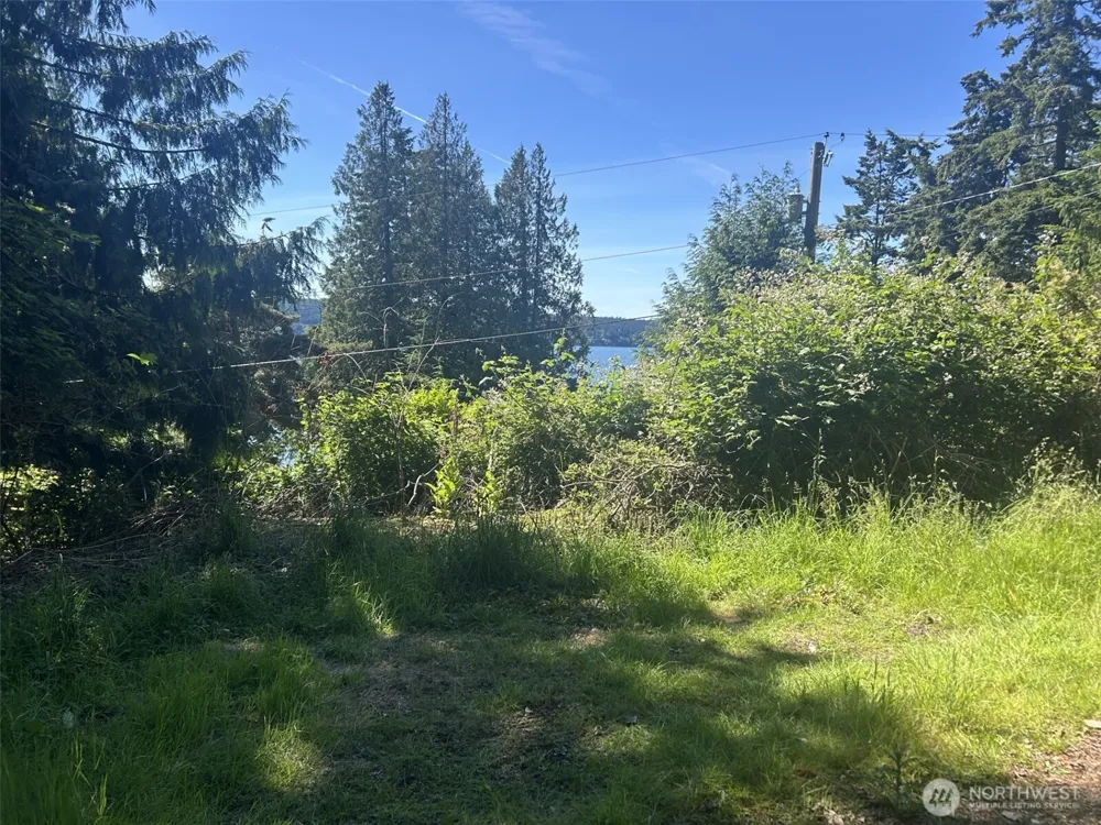 0 XXXX Beach Drive Freeland, WA 98249