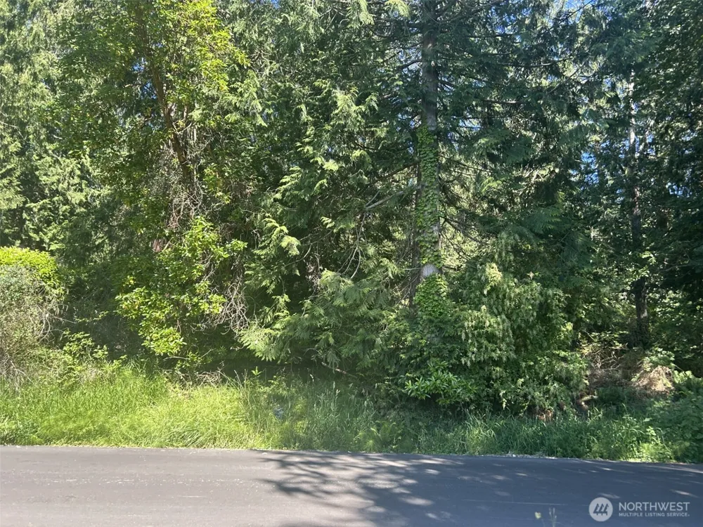 0 XXXX Beach Drive Freeland, WA 98249