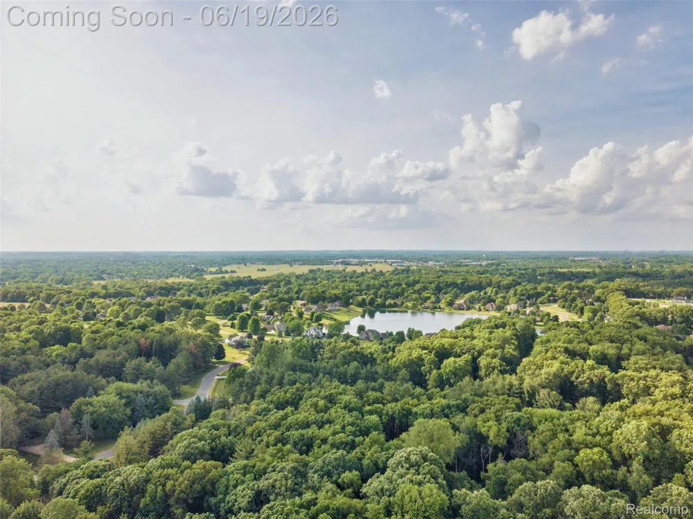 9787 York Woods Drive York Charter Township, MI 48176