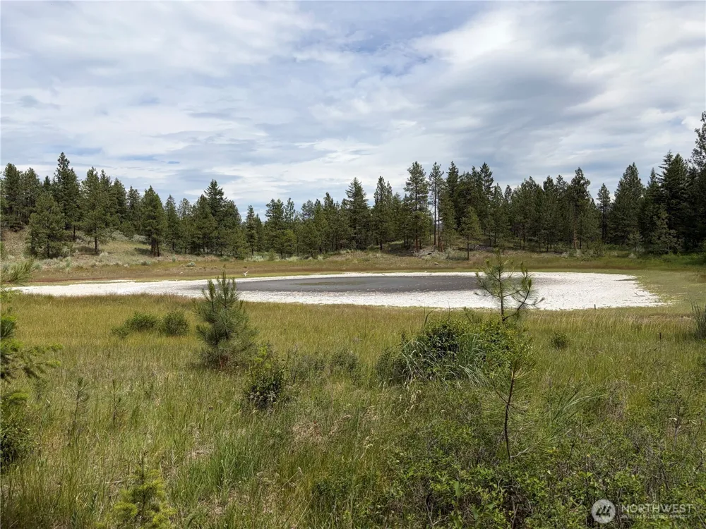 33 Outback Road Oroville, WA 98844