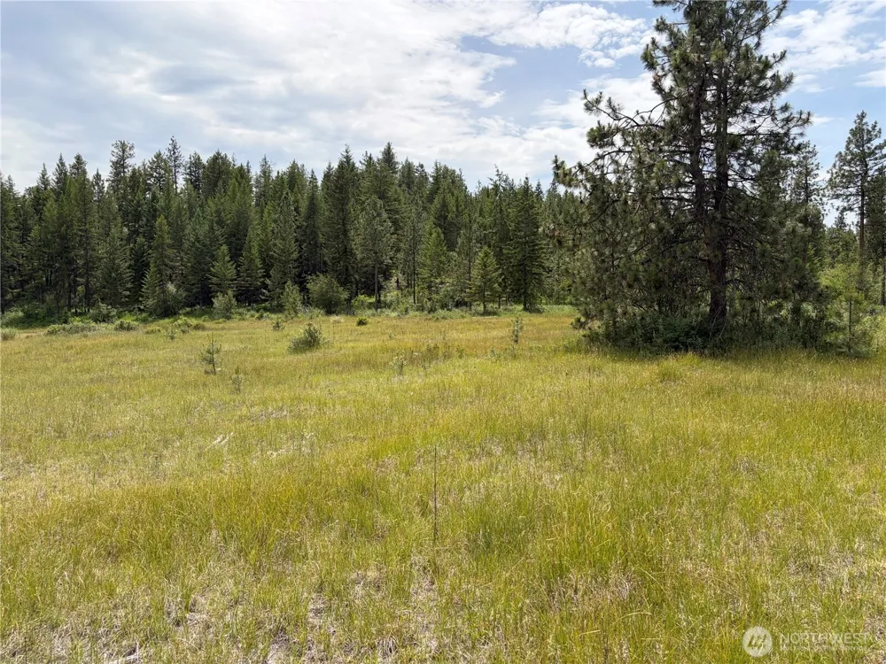 33 Outback Road Oroville, WA 98844