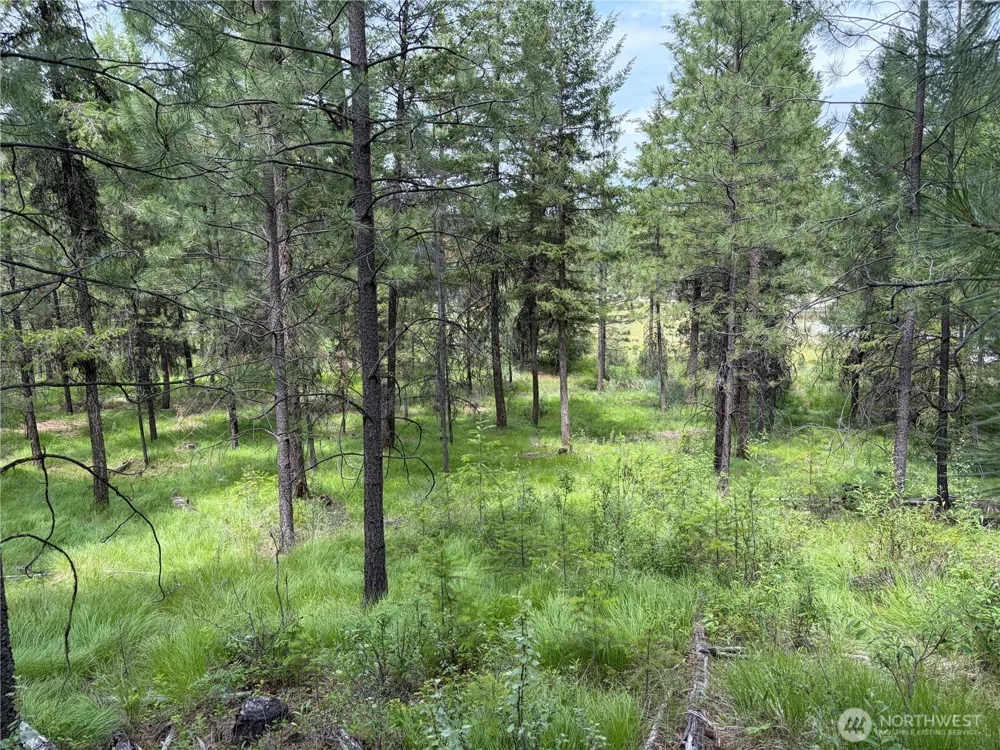 33 Outback Road Oroville, WA 98844