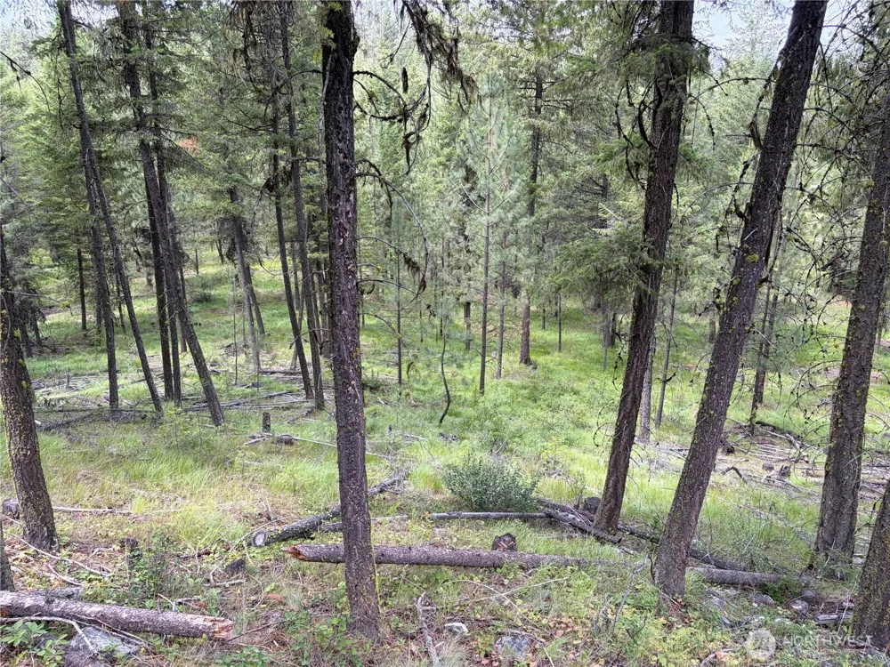 33 Outback Road Oroville, WA 98844