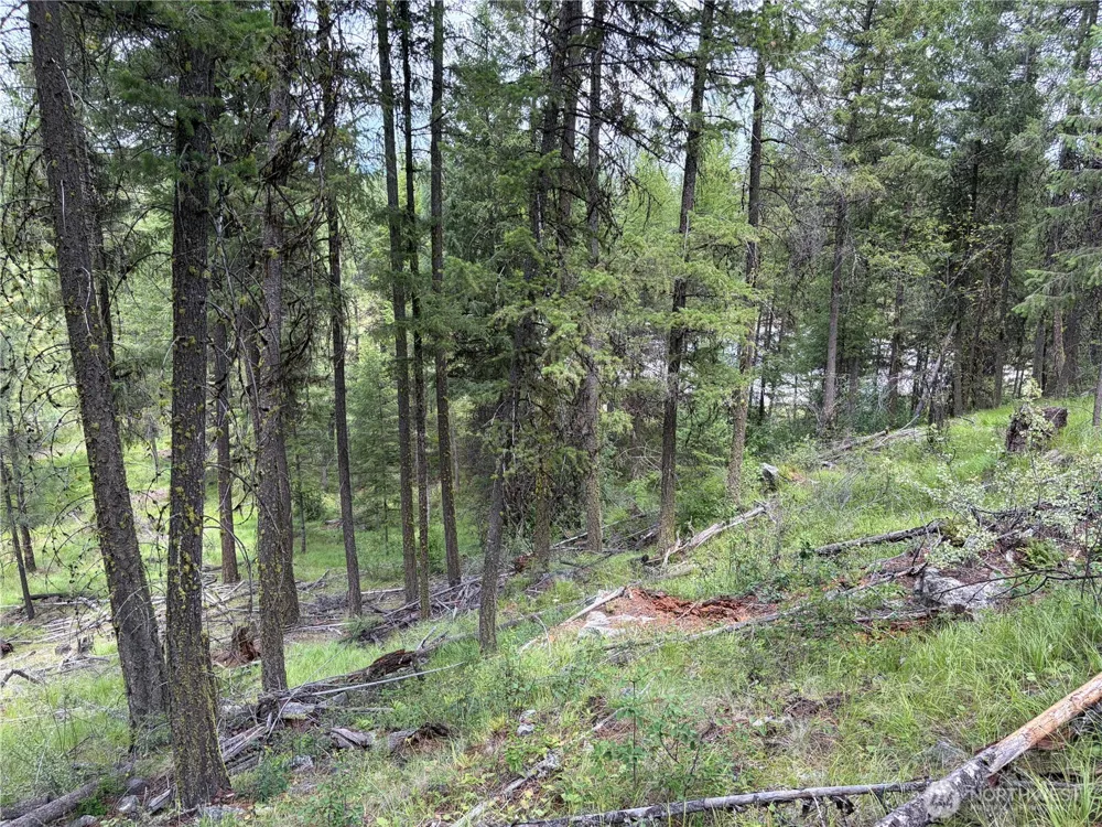 33 Outback Road Oroville, WA 98844