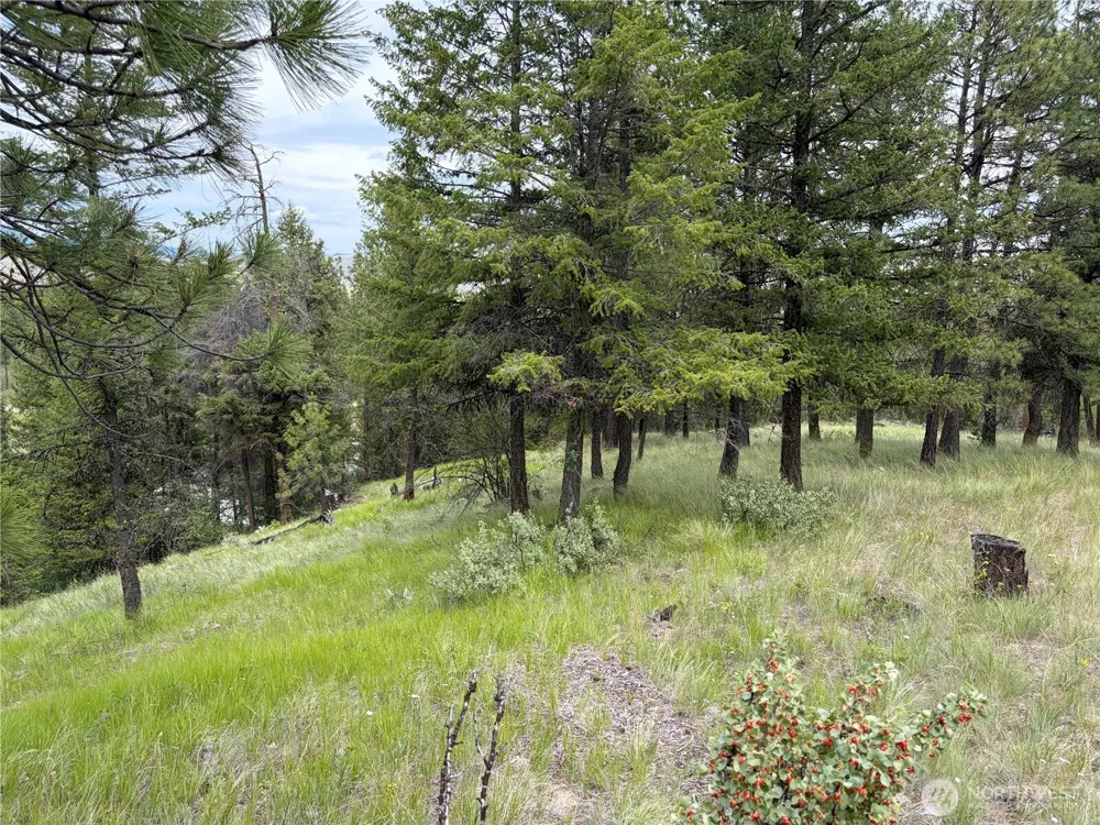 33 Outback Road Oroville, WA 98844