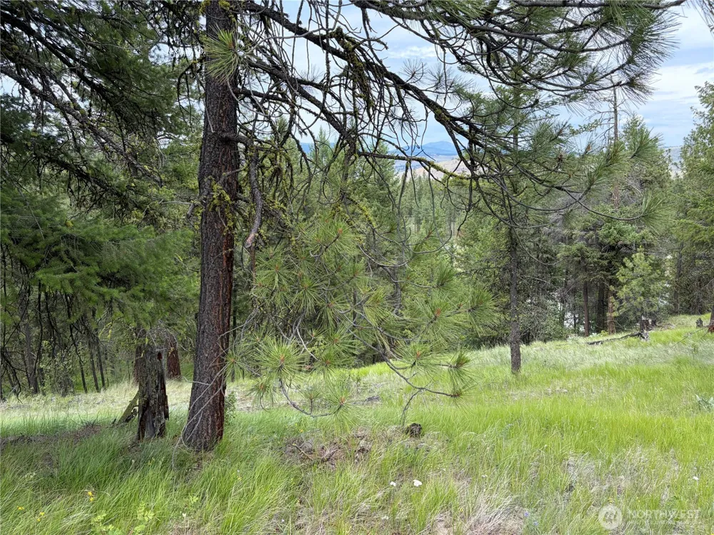33 Outback Road Oroville, WA 98844