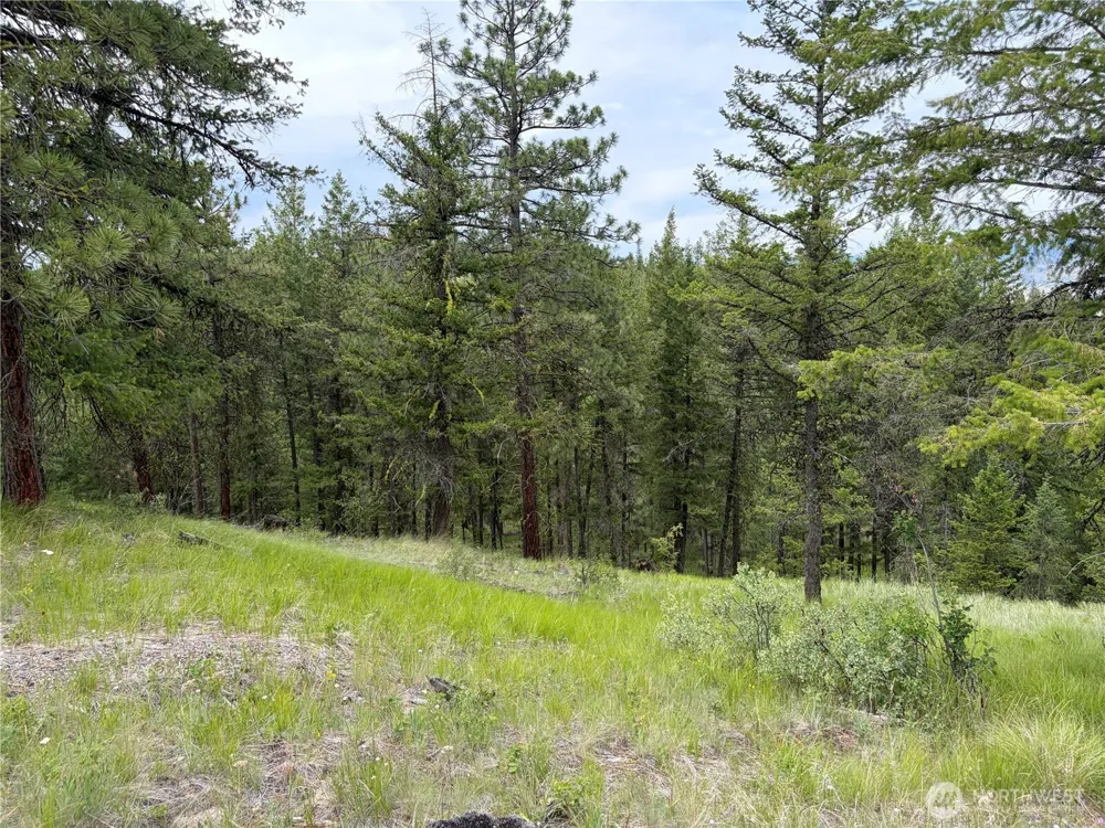 33 Outback Road Oroville, WA 98844
