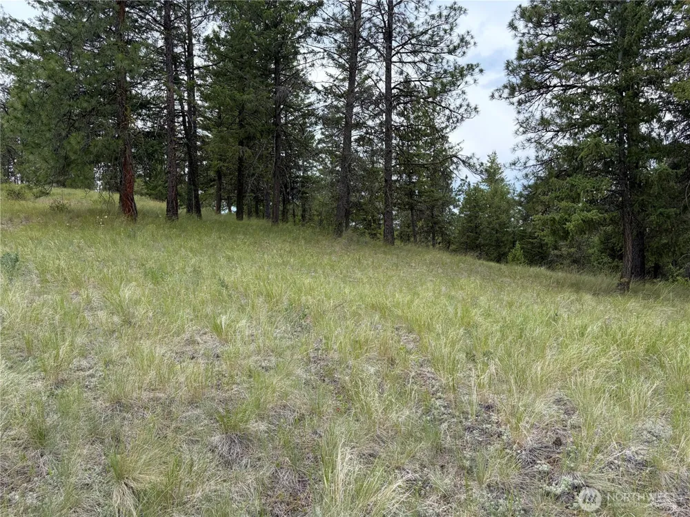 33 Outback Road Oroville, WA 98844