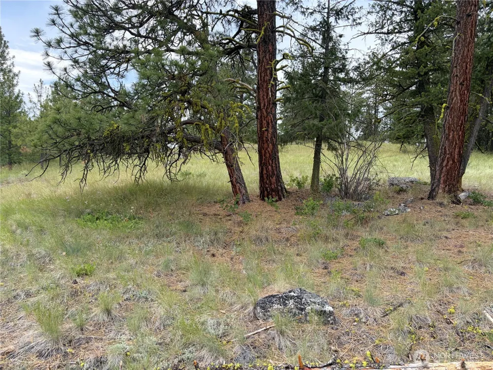 33 Outback Road Oroville, WA 98844
