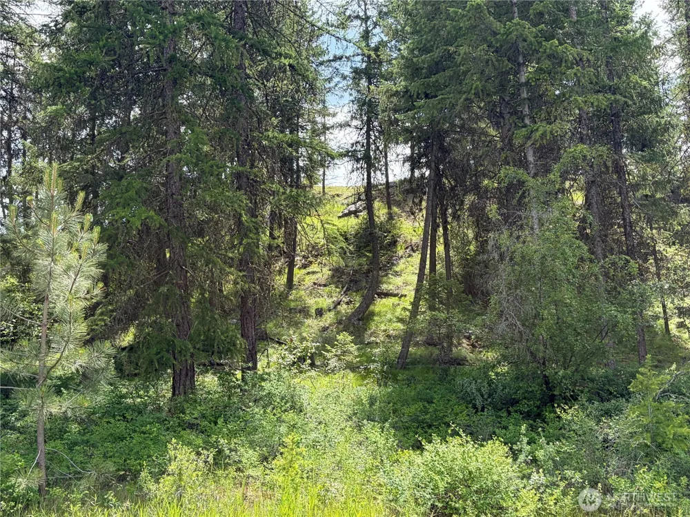 33 Outback Road Oroville, WA 98844