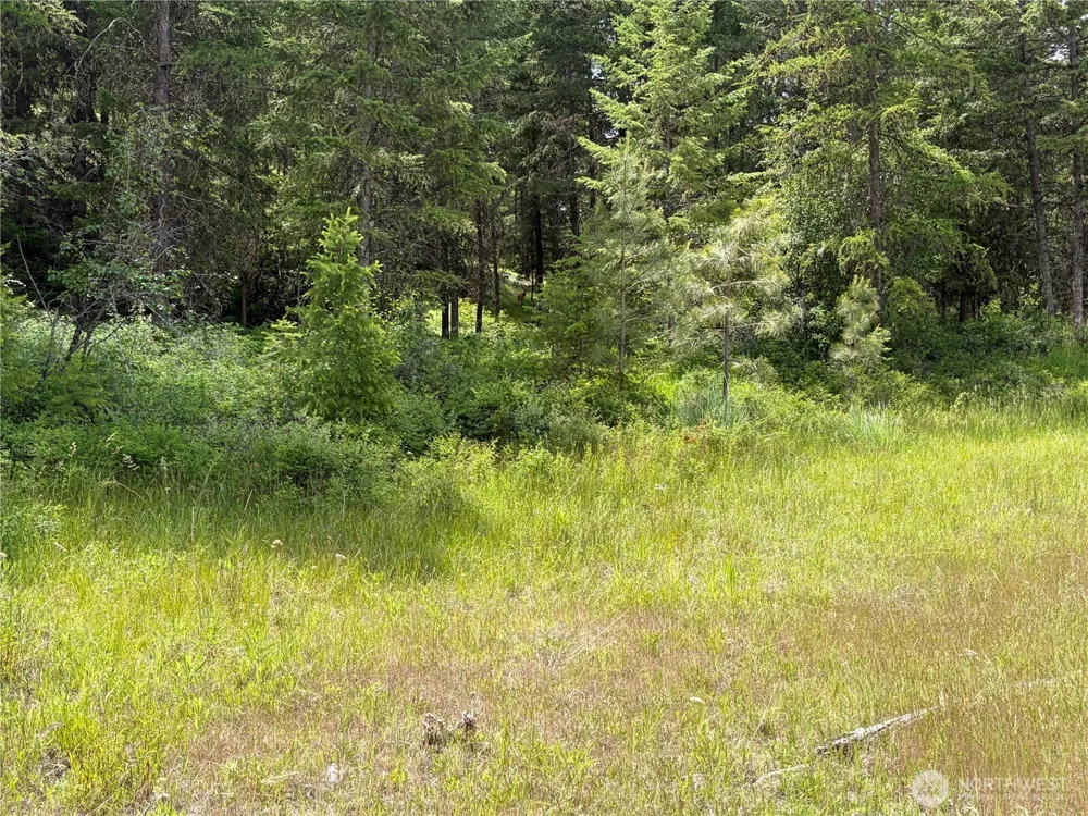 33 Outback Road Oroville, WA 98844