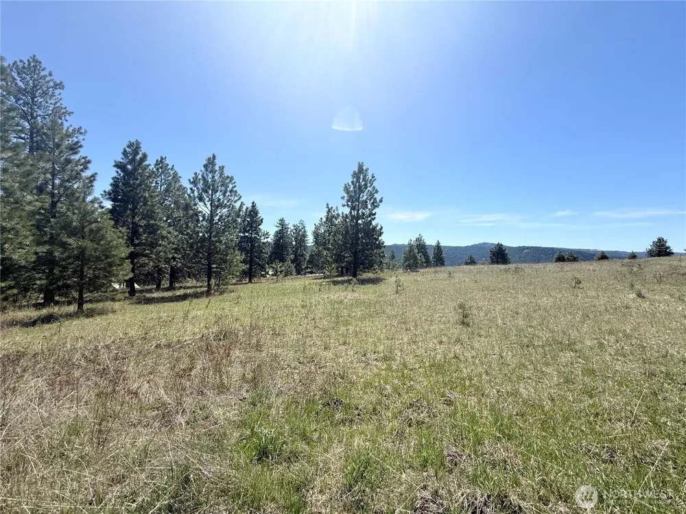 36 Sqove Road Wauconda, WA 98859