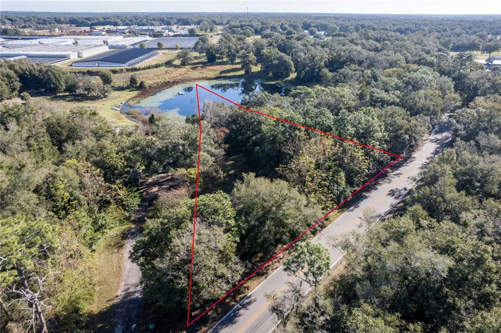 6311 SADLER ROAD Mount Dora, FL 32757