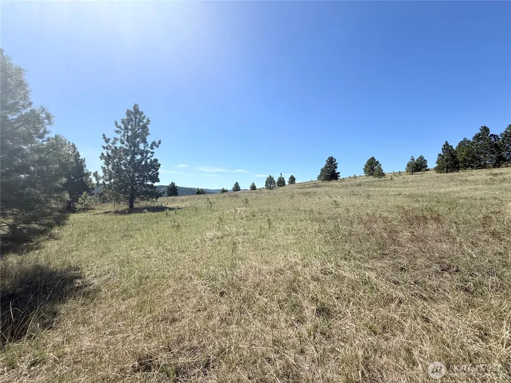 35 Sqove Road Wauconda, WA 98859